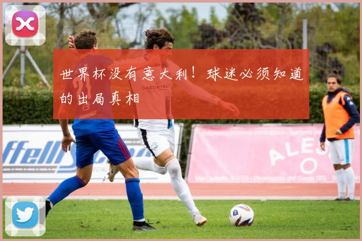 世界杯没有意大利！球迷必须知道的出局真相
