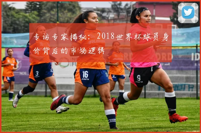 专访专家揭秘：2018世界杯球员身价背后的市场逻辑