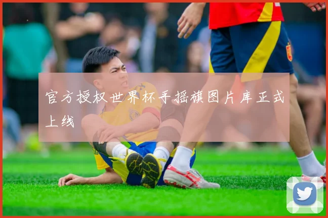 官方授权世界杯手摇旗图片库正式上线