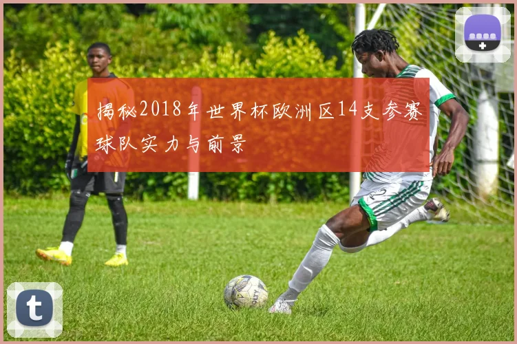 揭秘2018年世界杯欧洲区14支参赛球队实力与前景