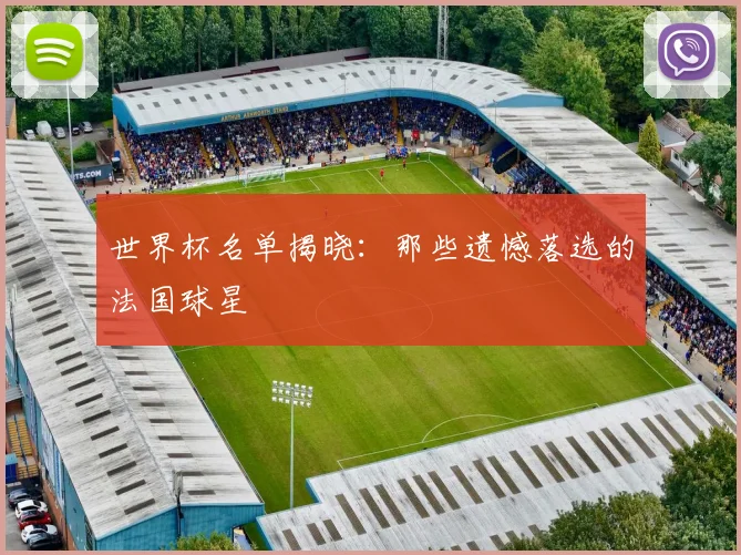 世界杯名单揭晓:那些遗憾落选的法国球星